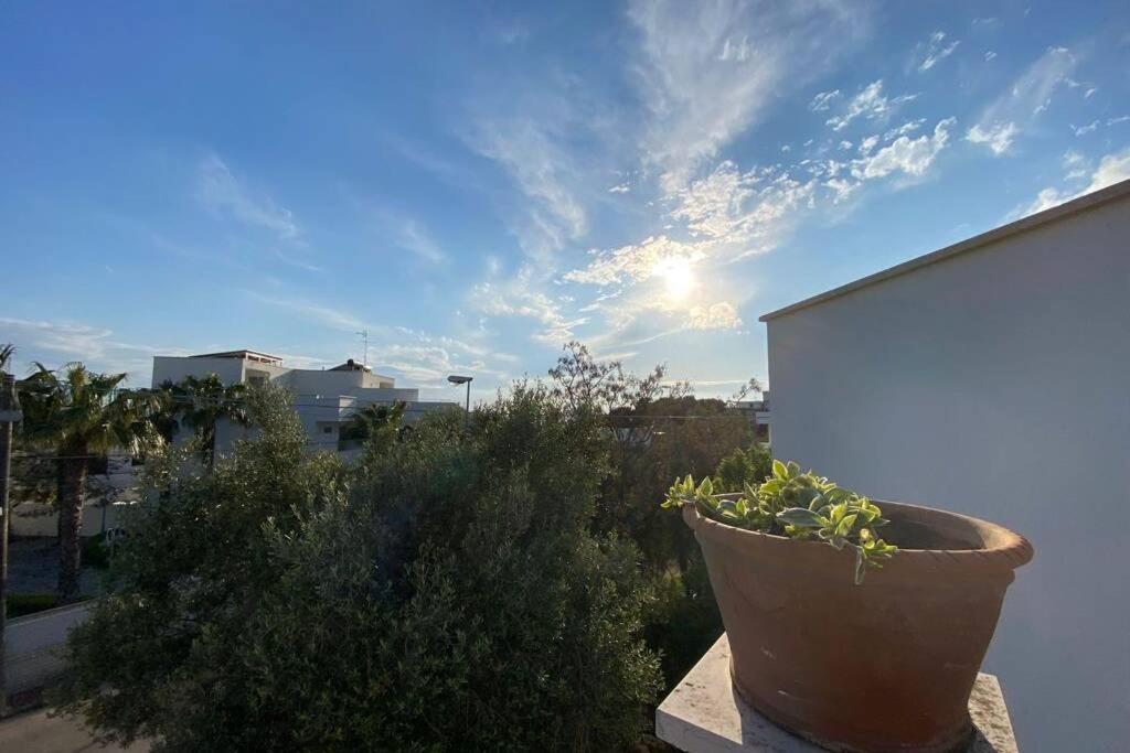 Villa Fiorella Porto Cesareo Primo Piano 2 Locali Екстер'єр фото